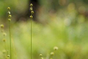 14142248228_9b49fb7afb_z