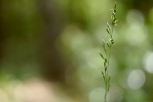 14142325479_da9c1fb8db_z