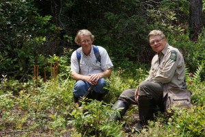 14142399549_d891ce41eb_z