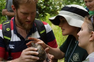 14142507697_12cf381d18_z