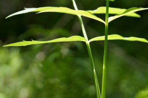 14325597821_59c7582e3b_z