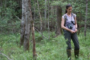 14327140432_d8375834dd_z