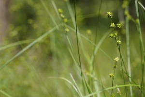 14327201022_a8ac6e6c0e_z