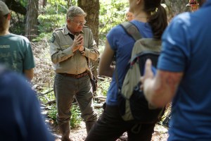 14328212834_73c84c152b_z