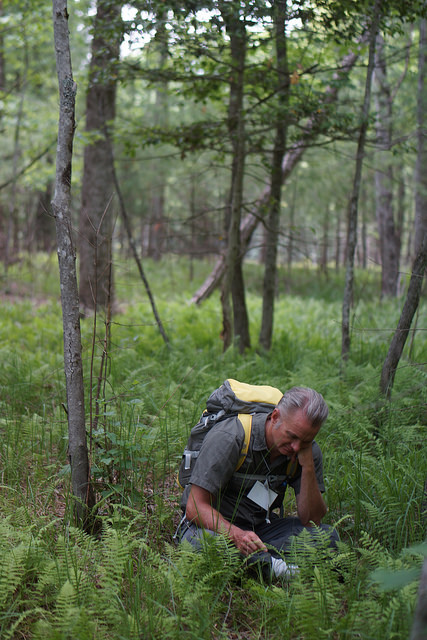 14328215924_e53ea2b584_z