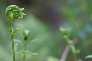 14349201723_57775ccc06_z