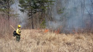 Malcolm Hodges of TNC Georgia enjoying the show at this year’s March burn.