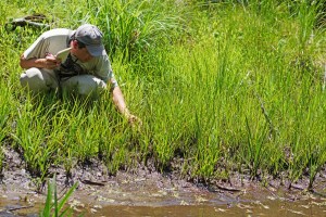 18119857264_9cffa411b5_o