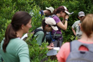 18554632978_67679889d8_o