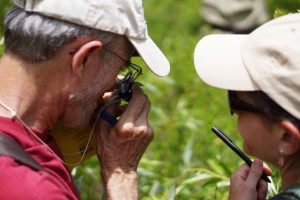 18554819820_5816a41223_o