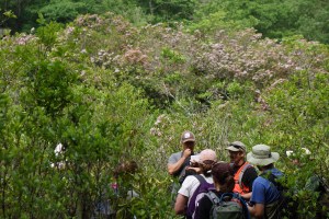 18716116906_9c3308c33f_o