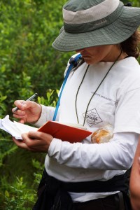 18744883961_2fa49f4281_o