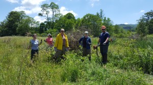 Quarry_Bog_Workday_06-07-16 (17)