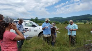 Quarry_Bog_Workday_06-07-16 (3)