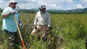 Quarry_Bog_Workday_06-07-16 (40)