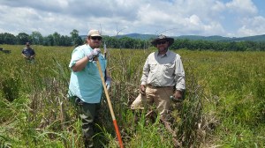 Quarry_Bog_Workday_06-07-16 (41)